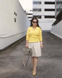 The Pecoraro skirt 