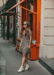 Leopard – Elodie in Paris