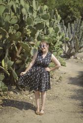Cacti with Karina Dresses