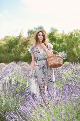 Lavender lover