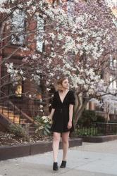 Boston Brownstones and Magnolias