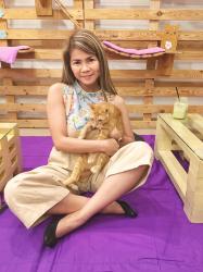Unleash Your Inner Feline at Cat Café Manila