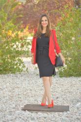 Blazer roja