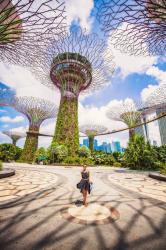 A Singapore Icon – Gardens by the Bay (Pics, Tickets, Hours, & Tips)