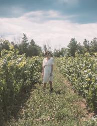 A Storm Brewing, a Vintage Dress, and A Winery