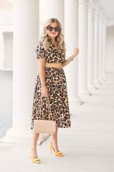 Leopard is Back