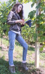 #5 Chic Grape Picking Outfits. Number 3 Will Shock You