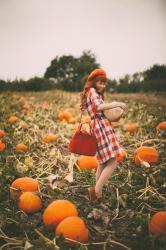 Pumpkins & Plaid