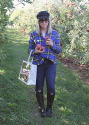 Apple Picking…