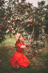 Red Dresses & Red Apples