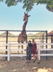 Malibu Wine Safari