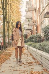 Fall Leaves