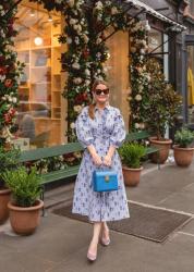 AUDRA Blue Shirtdress // Friday Charades