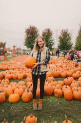 Pumpkin Picking Road Trip