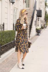 Leopard Shirt Dress 