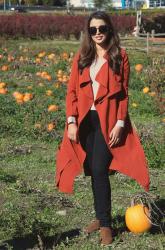 Perfect Day for the Pumpkin Patch