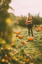 Pumpkin Queen