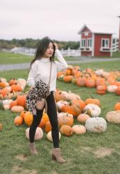 Pumpkin Patch // Mock neck sweater + Leopard Scarf