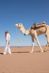 Camping in the Sahara Desert