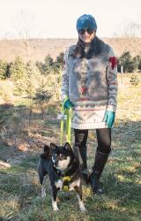 {outfit} Looking for the Perfect Christmas Tree
