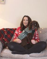 Christmas Essentials for Dog Owners