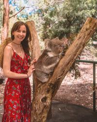 Adelaide – Cleland Wildlife Park