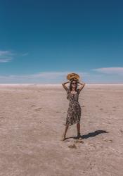 Lake Eyre and the Dying of a Bus