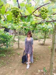 A Look Inside Denila Grapes Farm