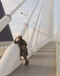 Looking Skyward From The Base Of The Assut De L'Or Bridge