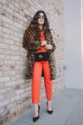 Because Everyone Needs A Leopard Print Coat