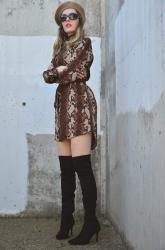 Brown Snake Dress