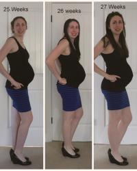 29 Weeks (January)