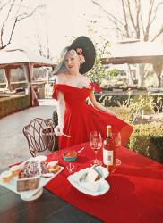 Red Roe & Romance || Valentine's Day Picnic with Petrossian 