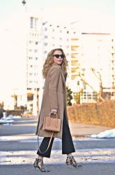 Camel shades