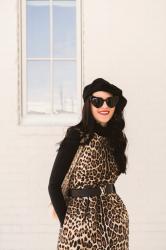 Loving Leopard