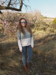 Almendros en flor