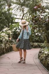 Friday Finds || Vol. 3, Week 10