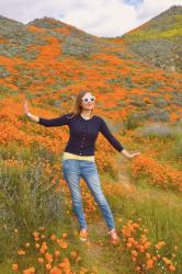 The Hills Are Alive With Poppies!