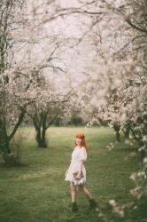 Rambles Among the Flowers