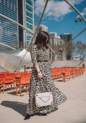 The Long Sleeve Leopard Dress You Need This Spring