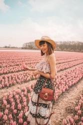 Visiting the flower fields in the Netherlands