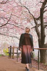 OOTD | ブラウンニットとグラデーションスカートと河津桜