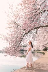 Leather Sneaker Style at the DC Cherry Blossoms