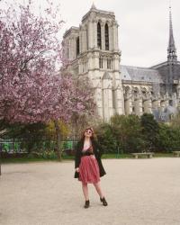 Fashion & Paris | Looking out for Cherry Trees