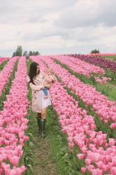 REMINICING ON OUR TULIP FESTIVAL ROAD TRIP…
