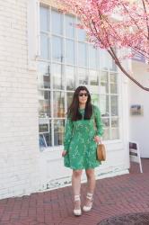 Green Floral Dress for a Steal