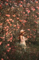 Towering Rhododendrons & a Clog Giveaway