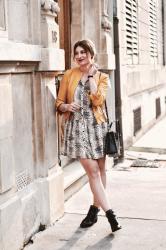 Le cas de la robe python : top ou flop ? 