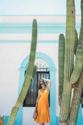 A Day Trip to Todos Santos