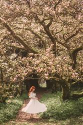 Lismore Castle Gardens